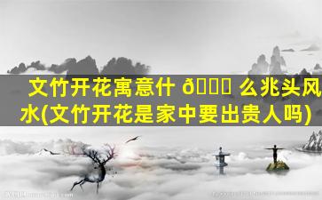 文竹开花寓意什 🐛 么兆头风水(文竹开花是家中要出贵人吗)
